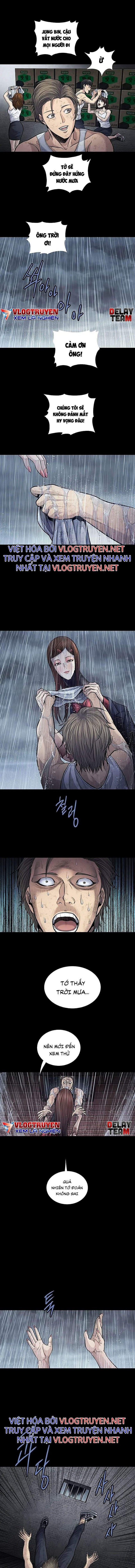 Đọc truyện Hive - Thảm họa ong độc - Chap 252